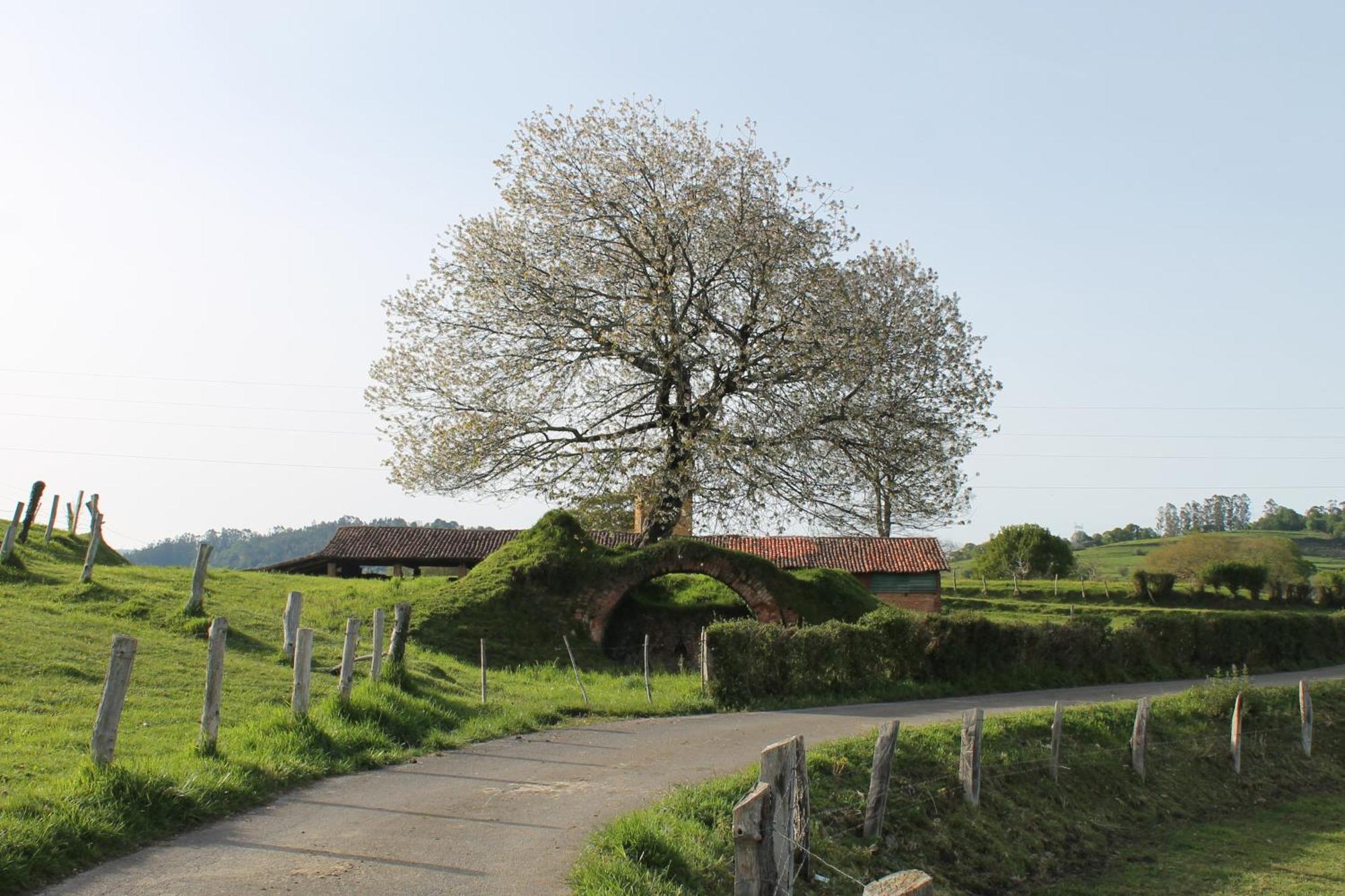 הוילה Casa De Aldea Monga 9 En Nava, Asturias מראה חיצוני תמונה