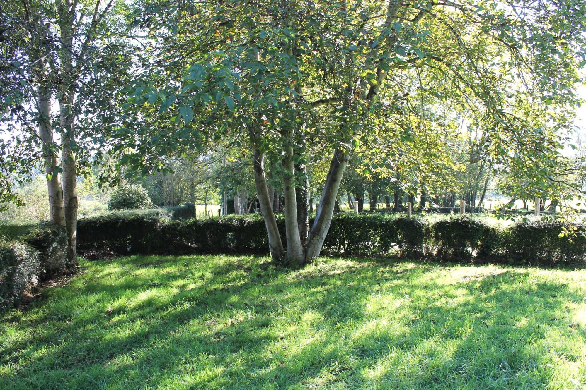 הוילה Casa De Aldea Monga 9 En Nava, Asturias מראה חיצוני תמונה